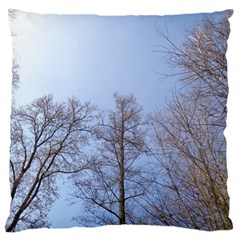 Large Trees In Sky Large Cushion Case (two Sided)  by yoursparklingshop