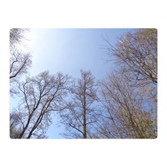 Large Trees In Sky Double Sided Flano Blanket (mini)