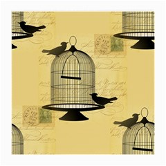 Victorian Birdcage Glasses Cloth (medium) by boho