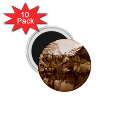 Native American 1 75  Button Magnet (10 Pack)