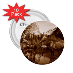 Native American 2 25  Button (10 Pack)