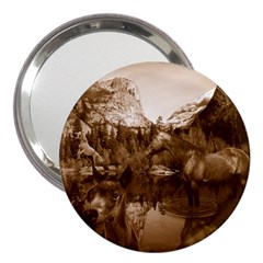 Native American 3  Handbag Mirror