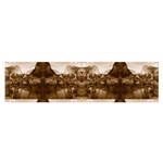 Native American Satin Scarf (Oblong) Front