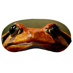 Frog Eyes Sleeping Mask