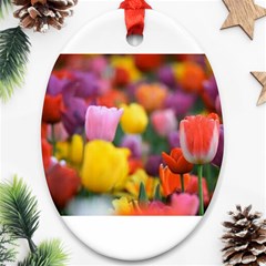 Flower Oval Ornament (two Sides)