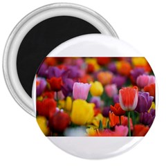 Flower 3  Button Magnet