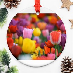 Flower Round Ornament