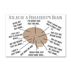 Atlas Of A Podiatrist s Brain A4 Sticker 10 Pack by GailGabel