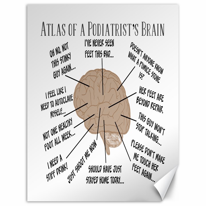 Atlas Of A Podiatrist s Brain Canvas 18  x 24  (Unframed)