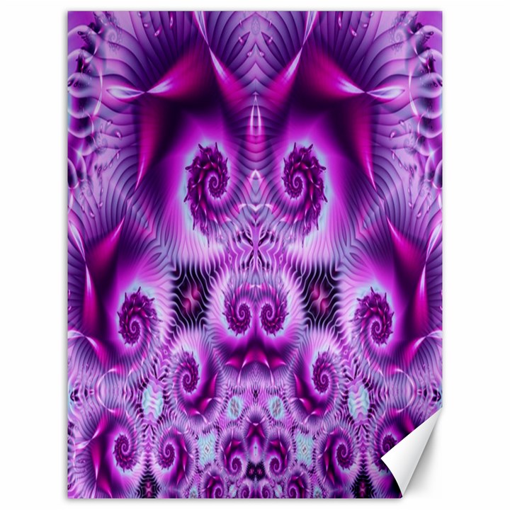 Purple Ecstasy Fractal Canvas 12  x 16 