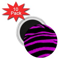 Pink Zebra 1 75  Button Magnet (10 Pack)