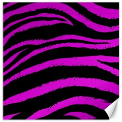 Pink Zebra Canvas 20  X 20  (unframed)