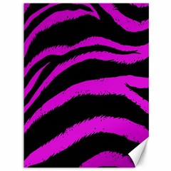 Pink Zebra Canvas 36  X 48  (unframed)