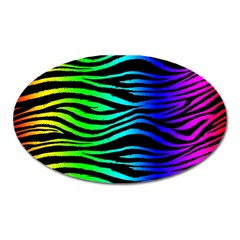 Rainbow Zebra Magnet (oval)