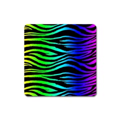 Rainbow Zebra Magnet (square)