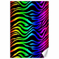 Rainbow Zebra Canvas 20  X 30  (unframed)