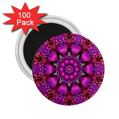 Pink Fractal Kaleidoscope  2 25  Button Magnet (100 Pack)