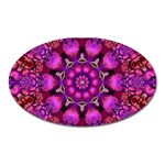 Pink Fractal Kaleidoscope  Magnet (Oval) Front