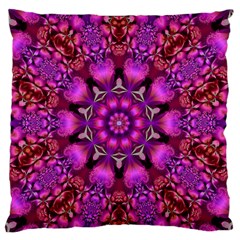 Pink Fractal Kaleidoscope  Standard Flano Cushion Case (one Side)