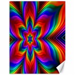 Rainbow Flower Canvas 18  x 24  (Unframed) 17.8 x23.08  Canvas - 1