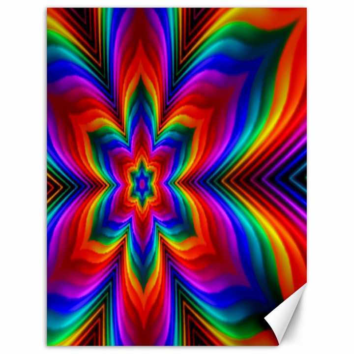 Rainbow Flower Canvas 18  x 24  (Unframed)