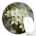 Spring Flowers 8  Mouse Pad (Round) Front