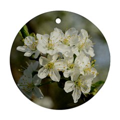 Spring Flowers Round Ornament by anstey