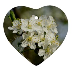 Spring Flowers Heart Ornament by anstey