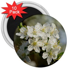 Spring Flowers 3  Button Magnet (10 Pack)