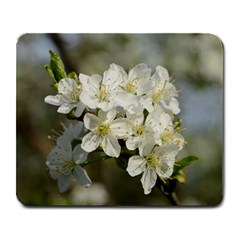 Spring Flowers Large Mouse Pad (rectangle) by anstey