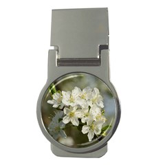 Spring Flowers Money Clip (round) by anstey