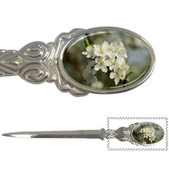 Spring Flowers Letter Opener by anstey