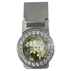 Spring Flowers Money Clip (cz) by anstey