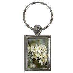 Spring Flowers Key Chain (rectangle) by anstey