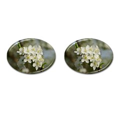 Spring Flowers Cufflinks (oval)