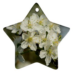 Spring Flowers Star Ornament (two Sides) by anstey