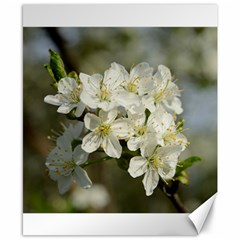 Spring Flowers Canvas 8  X 10  (unframed) by anstey