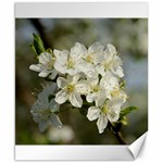 Spring Flowers Canvas 8  x 10  (Unframed) 8.15 x9.66  Canvas - 1