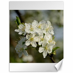 Spring Flowers Canvas 12  X 16  (unframed) by anstey