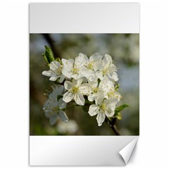 Spring Flowers Canvas 20  X 30  (unframed)