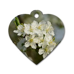 Spring Flowers Dog Tag Heart (two Sided) by anstey