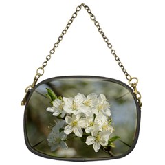 Spring Flowers Chain Purse (one Side)