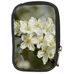 Spring Flowers Compact Camera Leather Case by anstey