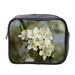 Spring Flowers Mini Travel Toiletry Bag (two Sides) by anstey