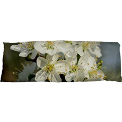 Spring Flowers Samsung S3350 Hardshell Case by anstey