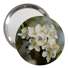 Spring Flowers 3  Handbag Mirror by anstey