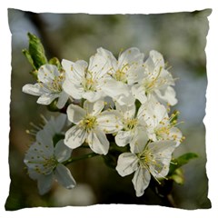 Spring Flowers Large Flano Cushion Case (two Sides) by anstey