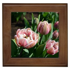 Tulips Framed Ceramic Tile by anstey