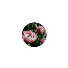 Tulips 1  Mini Button Magnet by anstey