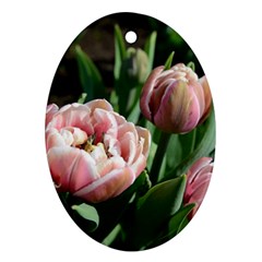 Tulips Oval Ornament by anstey